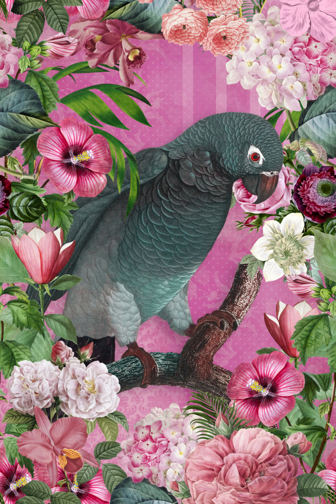 The Parrots Paradise Garden 3 from Andrea Haase
