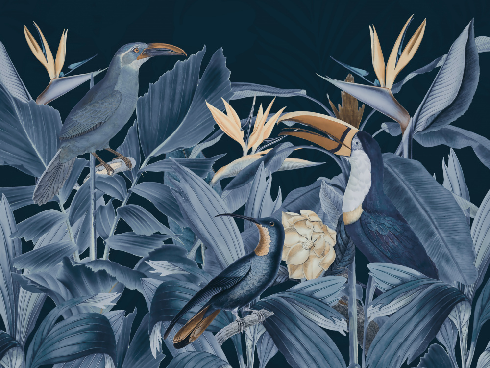 Rainforest Birds Blue from Andrea Haase