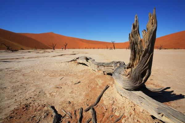 Deadvlei Namibia nahe Sossusvlei from Andreas Pollok