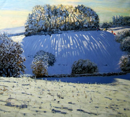 Field of shadows, near Youlgrave, Derbyshire from Andrew  Macara