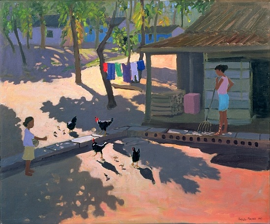 Hens and Chickens, Cuba from Andrew  Macara