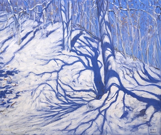 Winter Woodland, near Courcheval from Andrew  Macara