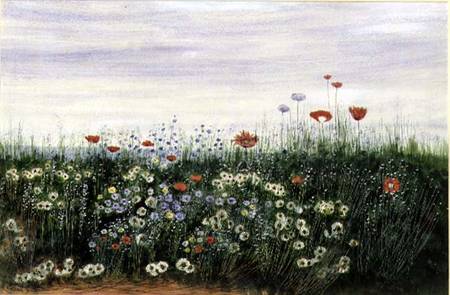 Poppies, Daisies and other Flowers by the Sea from Andrew Nicholl