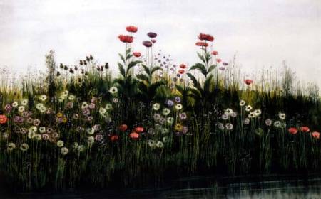 Poppies, Daisies and Thistles on a River Bank from Andrew Nicholl