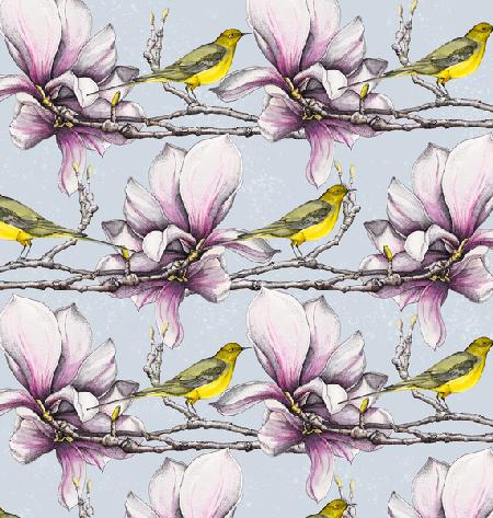 Magnolia and Yellow Wagtails