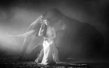 A Girl and An Elephant