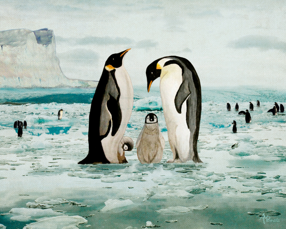 Emperor Penguin Family from Angeles M. Pomata