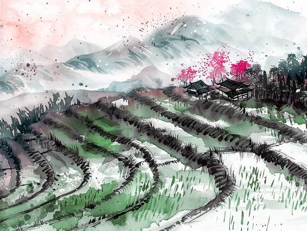 Reisterrassen in China. Ink Zeichnung from Anja Frost