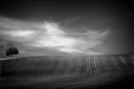 fields in black &amp; white