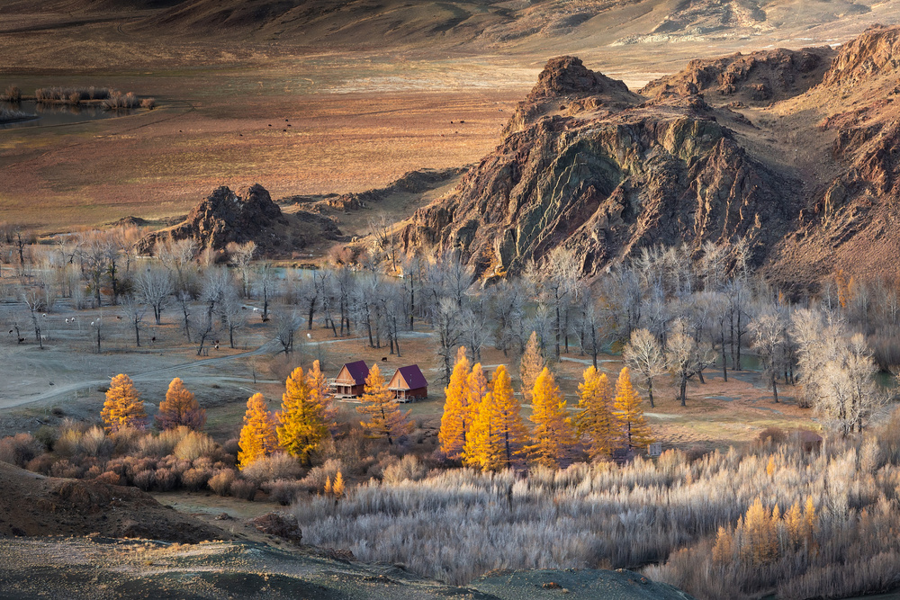 Oasis in the mountains (Altai) from Anna Pakutina