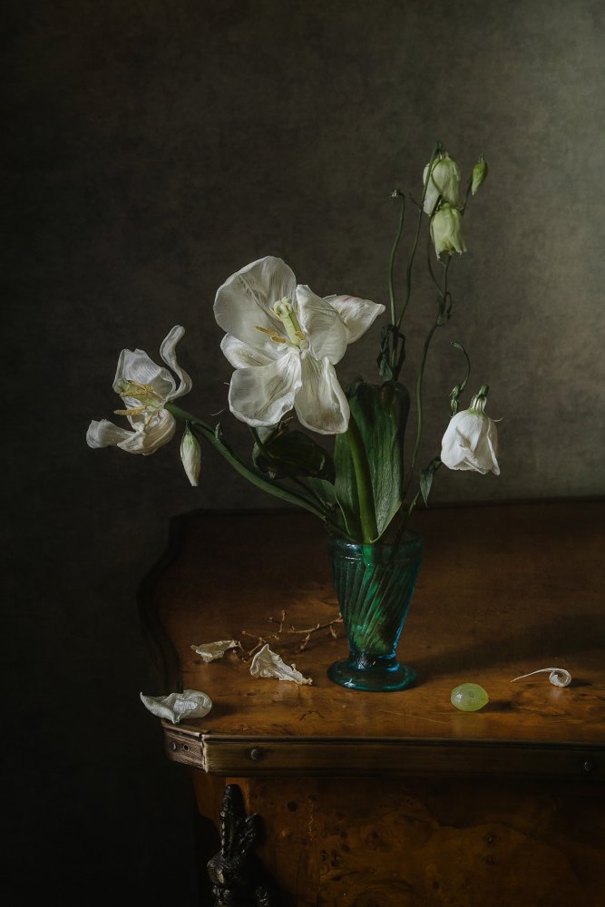 White petals from Anna Petina