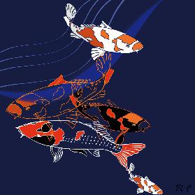 Koi