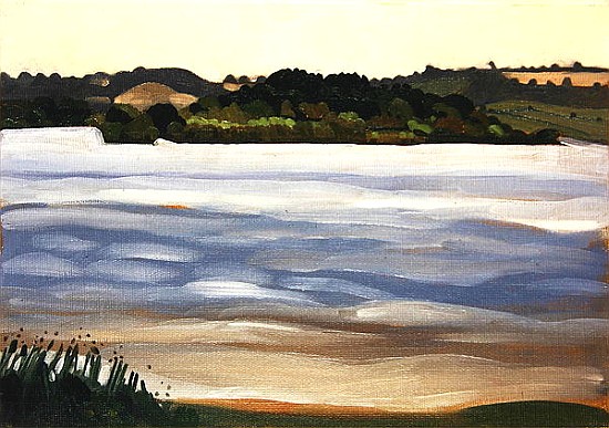 Denny Island, Chew Valley Lake (oil on board)  from Anna  Teasdale