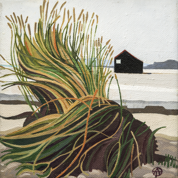 Marram Grass Rye Harbour from Anna  Teasdale