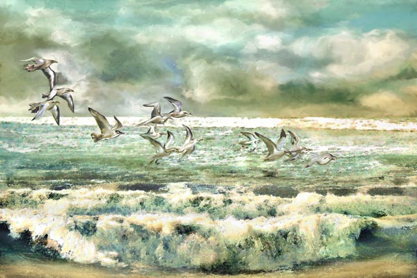 Möwen am Meer from Anne Weirich