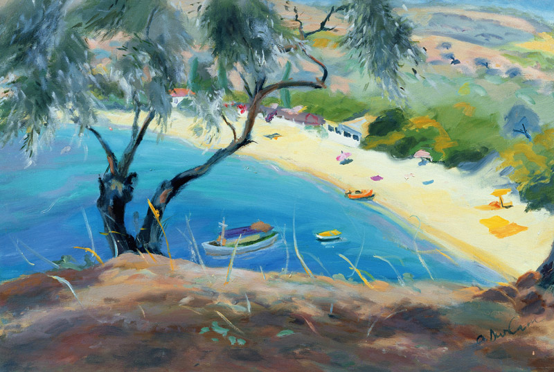 Achladies Bay, Skiathos, Greece, 1985 (oil on canvas)  from Anne  Durham