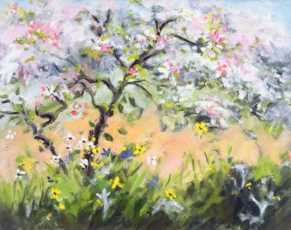 Spring Blossoms (oil on canvas)  from Anne  Durham