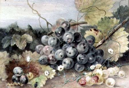 Grapes and Strawberries from Anne Frances Byrne