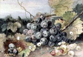 Grapes and Strawberries