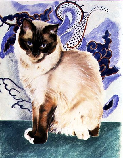 Oriental Cat (pastel on paper)  from Anne  Robinson