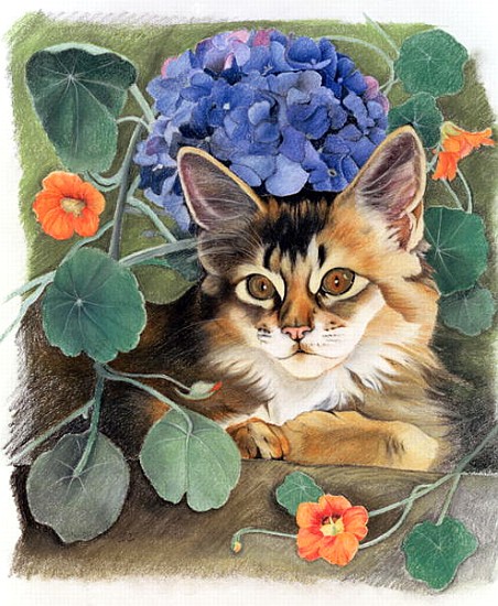 Sootsy with Hydrangea (pastel on paper)  from Anne  Robinson