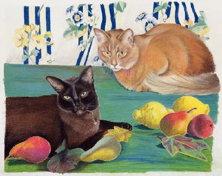 Cats with fruit
