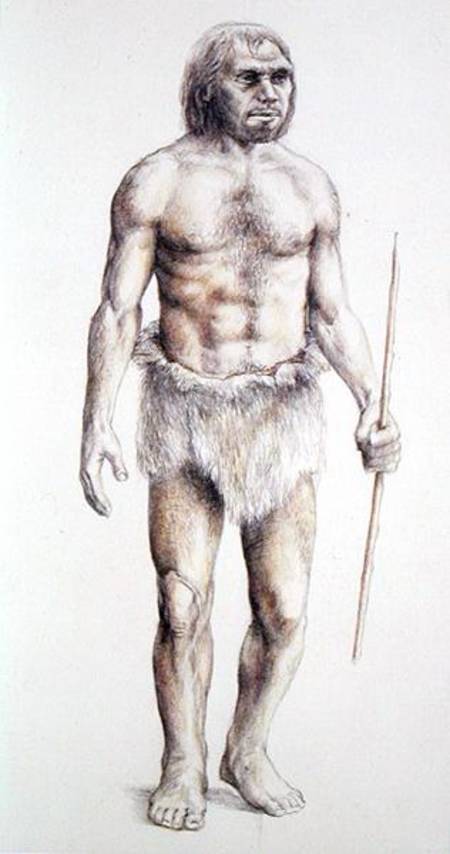 Neanderthal Man from Anonymous painter