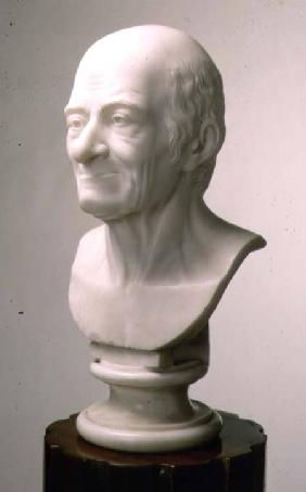Marble bust of Voltaire