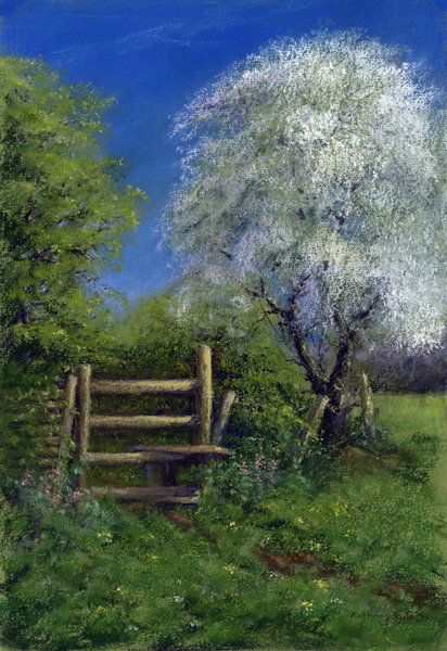 Springtime by the Stile from Anthony  Rule