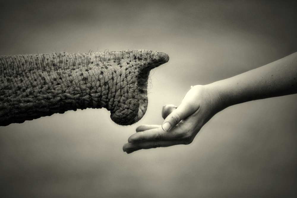 GIVE & TAKE (MONOCHROME) from Antje Wenner-Braun