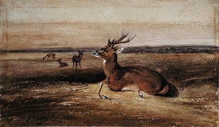 Resting Deer from Antoine Louis Barye