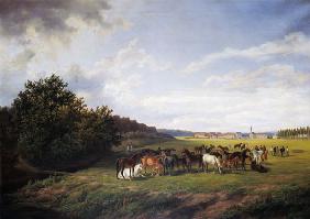 View of the Kladrub Studfarm in Bohemia