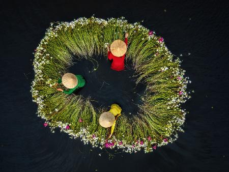 Flower pickers