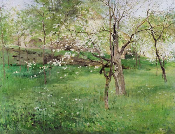 Blossoming orchard at Okor from Antonin Slavicek