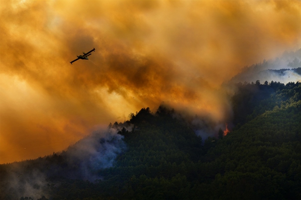 Fire in the Cilento National Park - Italy from Antonio Grambone