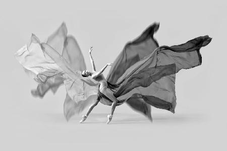 Balerina Butterfly Dance