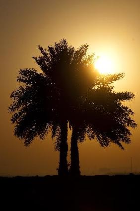 Katar - Sonnenaufgang in Doha