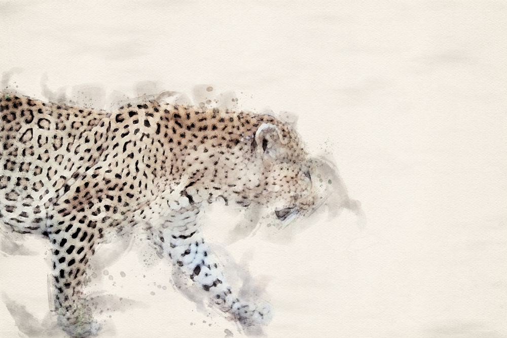 Abstract African Leopard Watercolor Art from Arno Du Toit