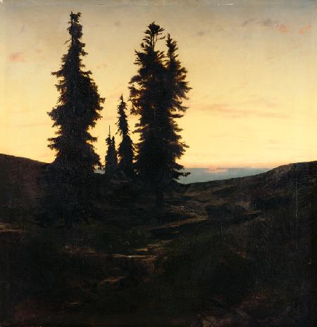 Weather firs in the Jura Mountains at sinking sun