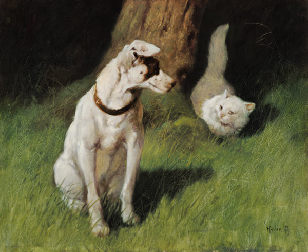 White Persian Cat and Jack Russell from Arthur Heyer