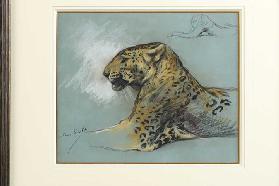 A Leopard, c.1910