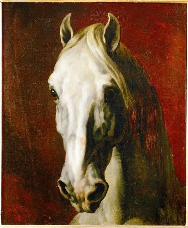 Head of a white horse from (attr. to) Theodore Gericault