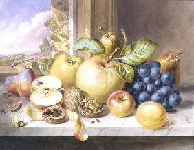 A Still Life of Apples, Grapes, Pears, Plums and Walnuts on a Window Ledge