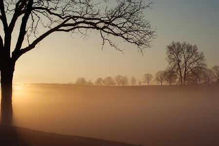 Sunrise in Valley Forge National Park