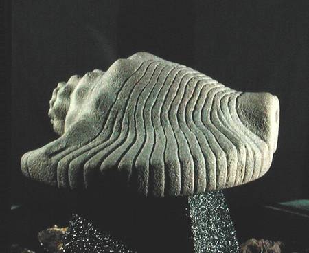 Sea Snail Shell from Aztec
