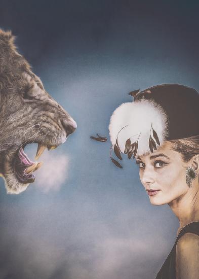 Audrey And The Lion