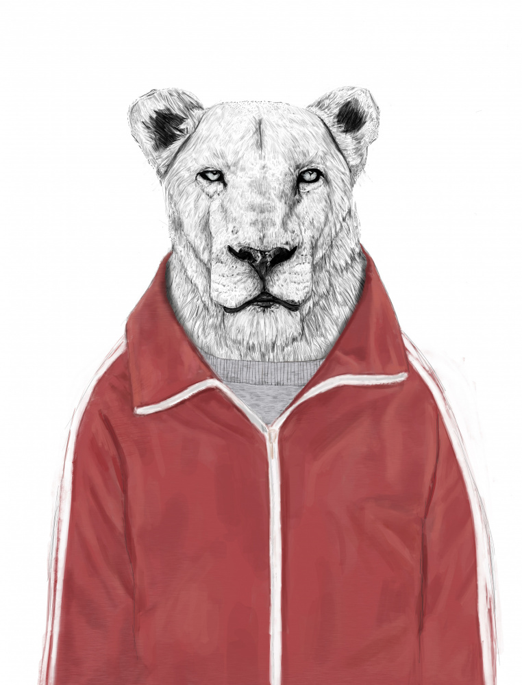 Sporty Lion from Balazs Solti