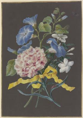 Blumengebinde mit rosa Nelke (Dianthus), blauer Winde (Convolvulus) und weißem Jasmin (Jasminum), mi