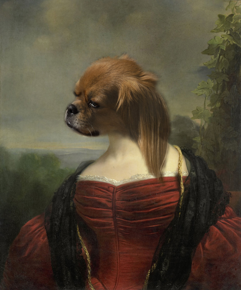 dog portrait 1 from Barbara Zielinska