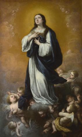 The Immaculate Conception of the Virgin